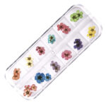 Real Dry Flower Grid-NA001