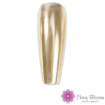 Mirror Chrome Powder 1pc - TH02