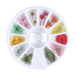 Real Dry Flower Grid-F10