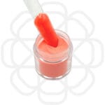 Acrylic Powder - 20