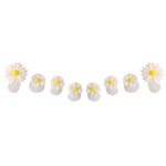 Toe Separators - 03 - Pack of 8