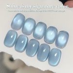 BORN PRETTY 10ml Blue Cat Magnetic Gel MY246 - Image 5